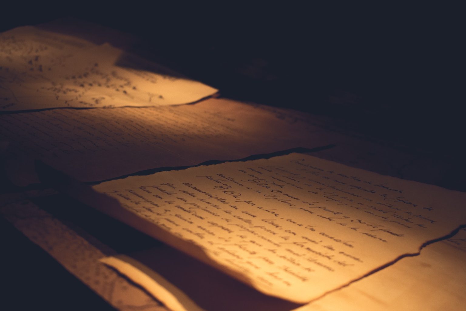 Parchment and Vellum Repair Services Kelsey Book & Paper Conservation